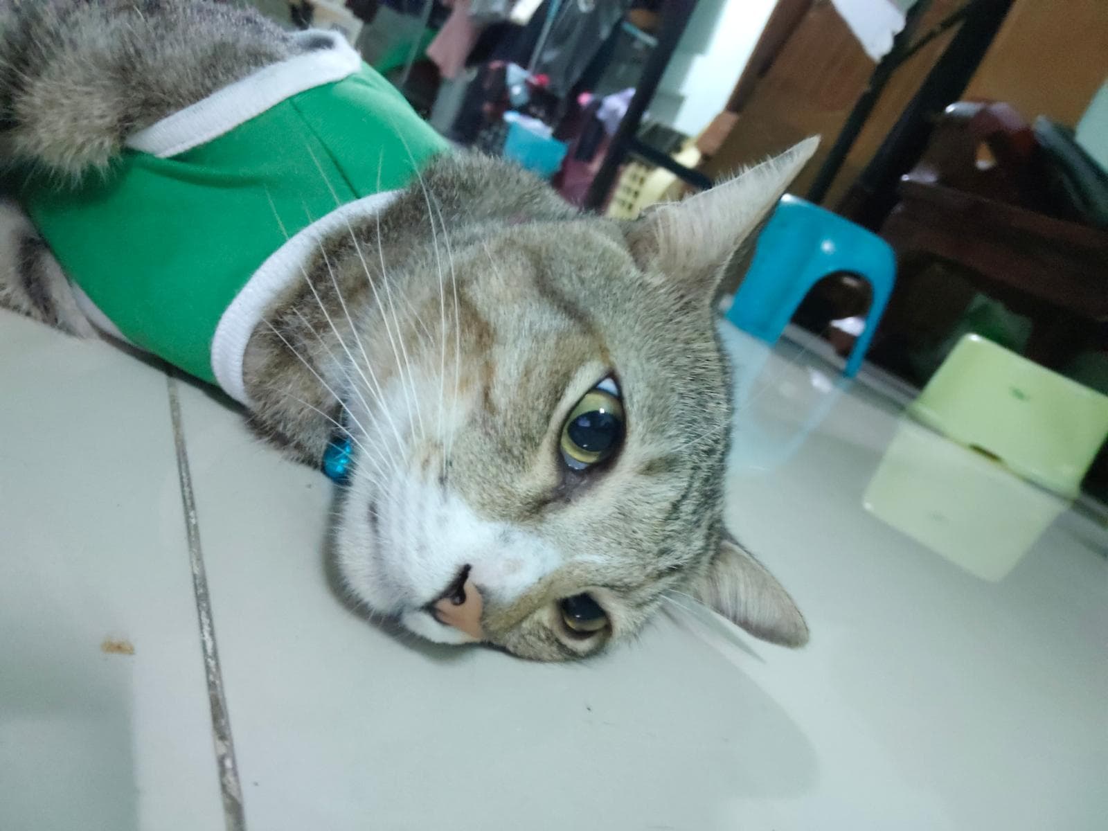 นับเงิน รูปที่ 3