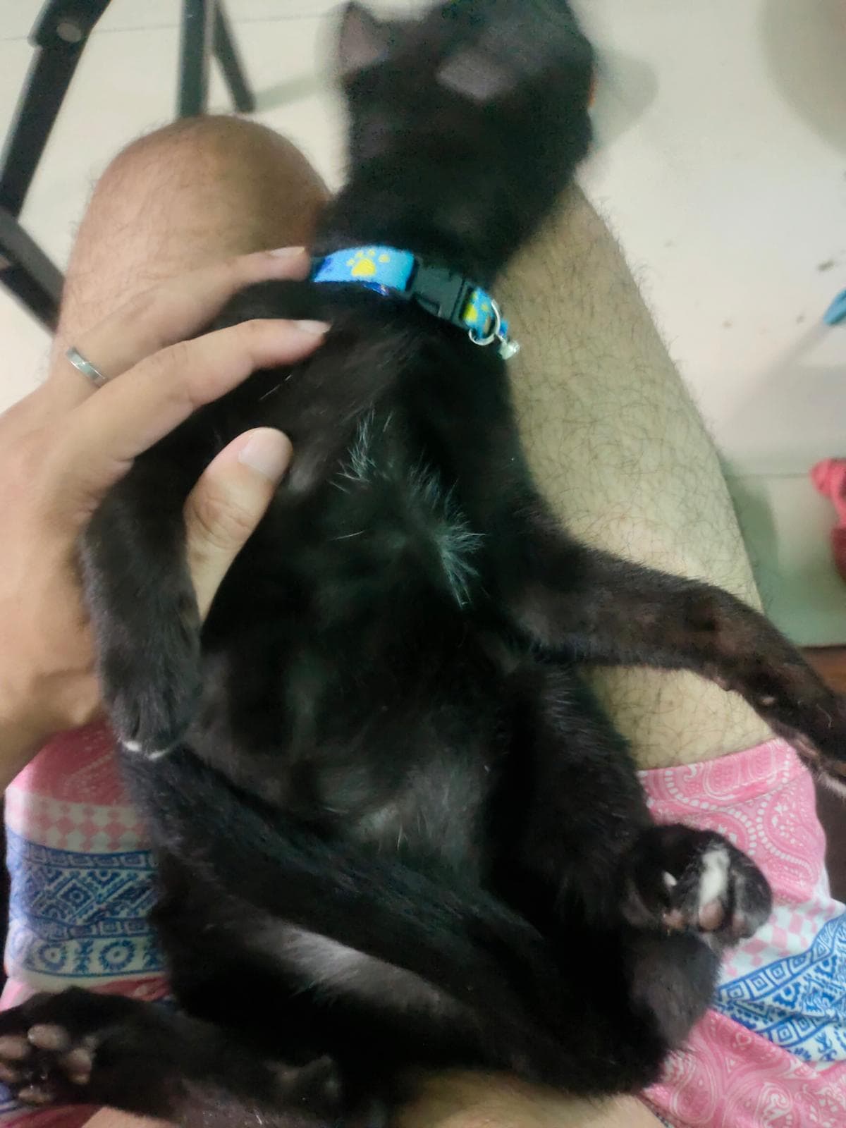 นับทอง รูปที่ 2