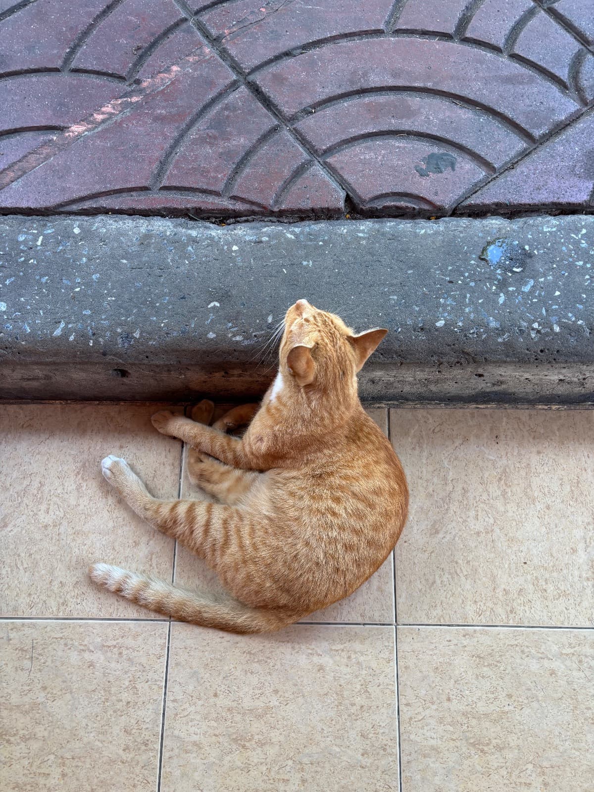 โชคดี รูปที่ 2