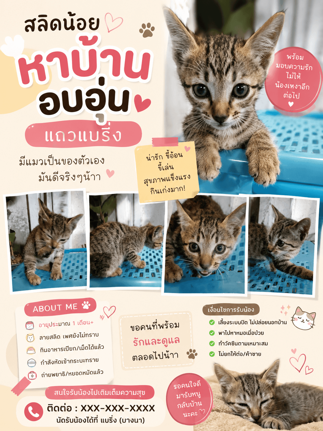 สลิดน้ย-สัตว์เลี้ยงหาบ้าน-สมุทรปราการ-Petskub