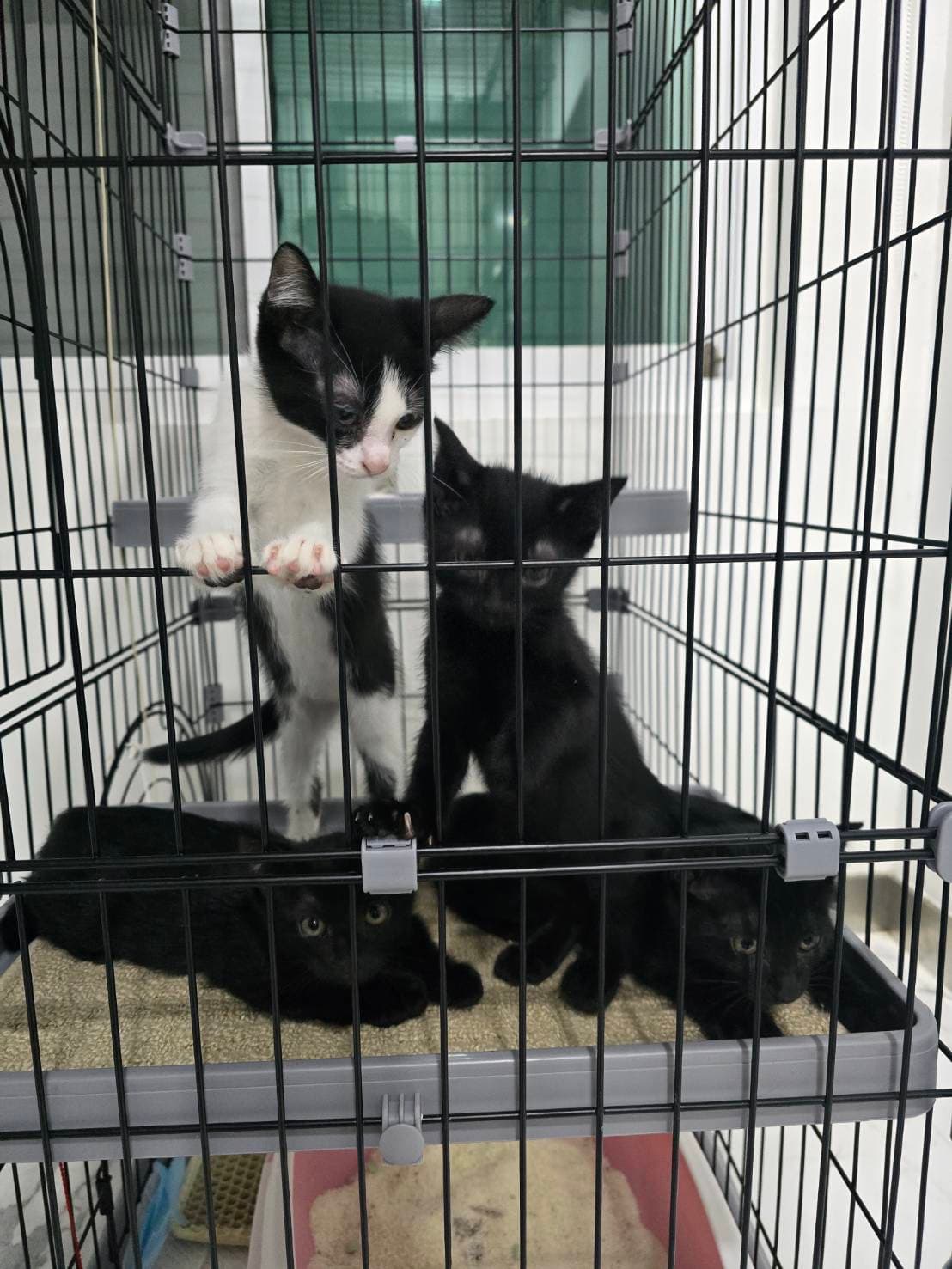 ยับไมาได้ตั้งครับ รูปที่ 2